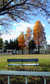 �܂��܂�
