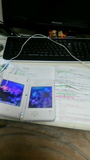 ������GS